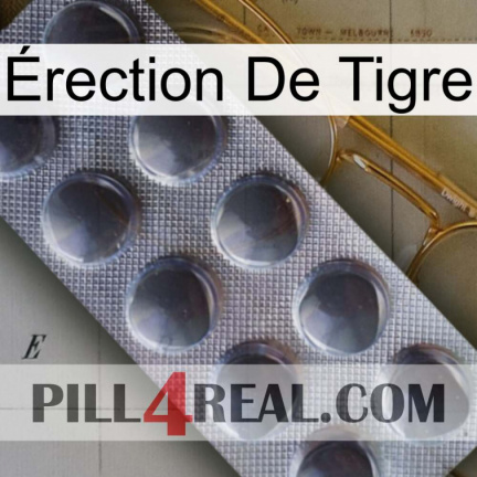 Érection De Tigre 30